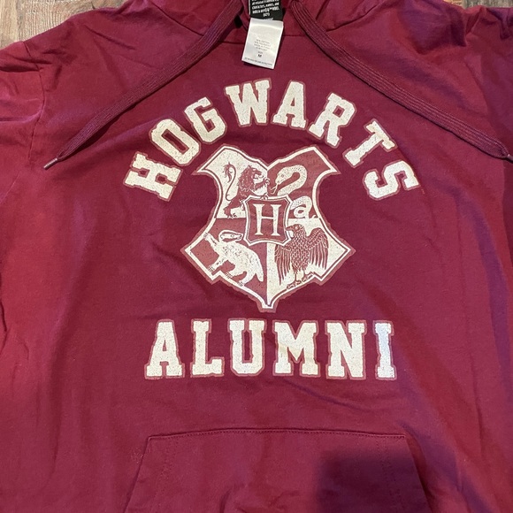 Hogwarts Alumni Hoodie - Picture 3 of 4